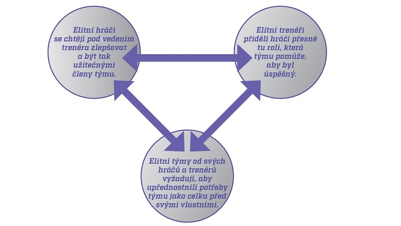 hrac-trener-tym